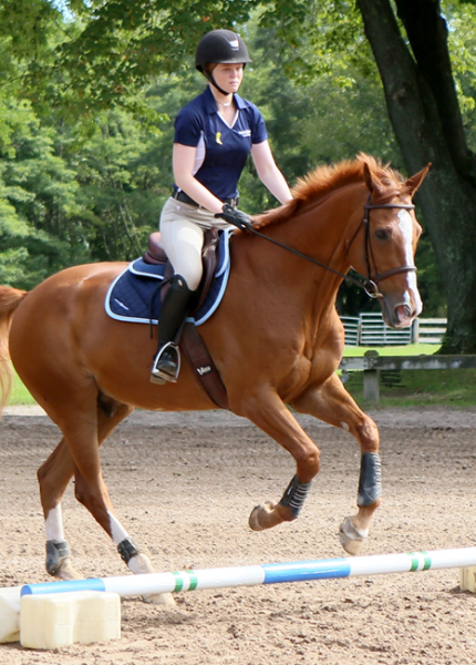 Tips On Improving Fitness On Horseback-2